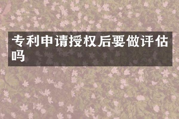 专利申请授权后要做评估吗