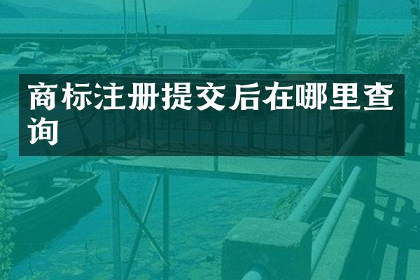 商标注册提交后在哪里查询