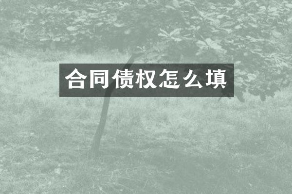 合同债权怎么填
