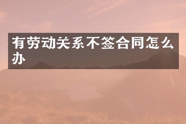 有劳动关系不签合同怎么办