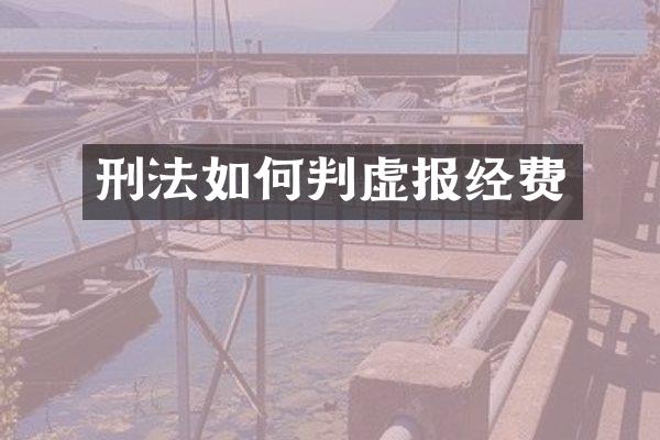 刑法如何判虚报经费
