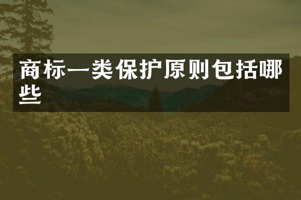 商标一类保护原则包括哪些