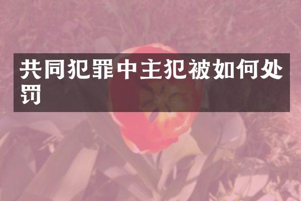 共同犯罪中被如何处罚