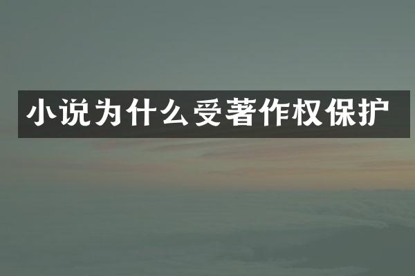 小说为什么受著作权保护