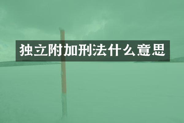 独立附加刑法什么意思