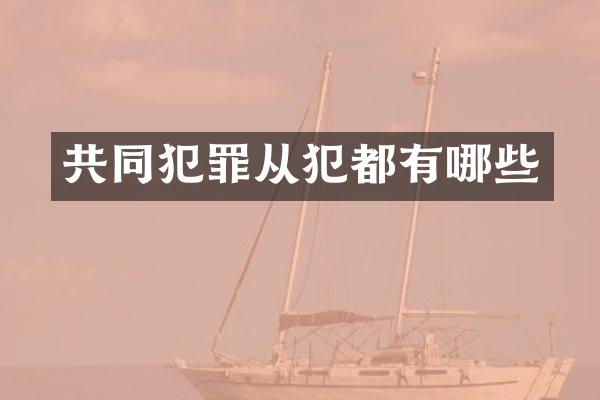 共同犯罪从犯都有哪些