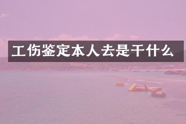 工伤鉴定本人去是干什么