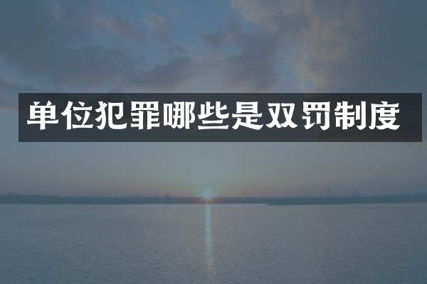 单位犯罪哪些是双罚制度