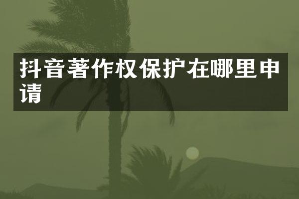 抖音著作权保护在哪里申请