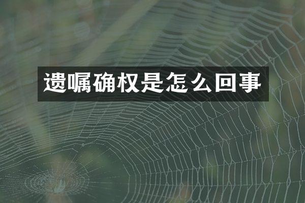 遗嘱确权是怎么回事