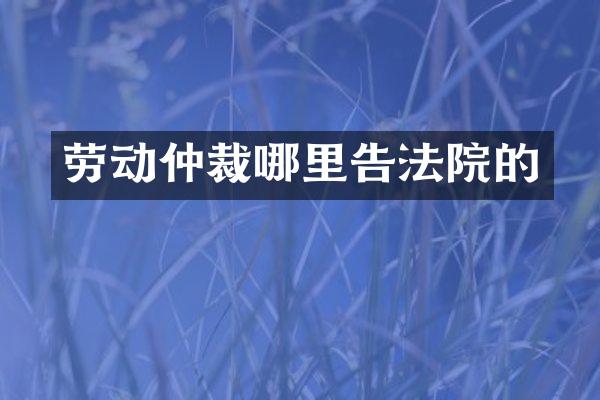 劳动仲裁哪里告法院的