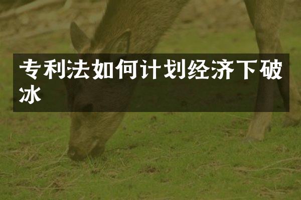 专利法如何计划经济下破冰