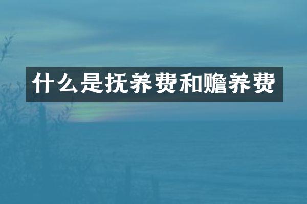 什么是抚养费和赡养费