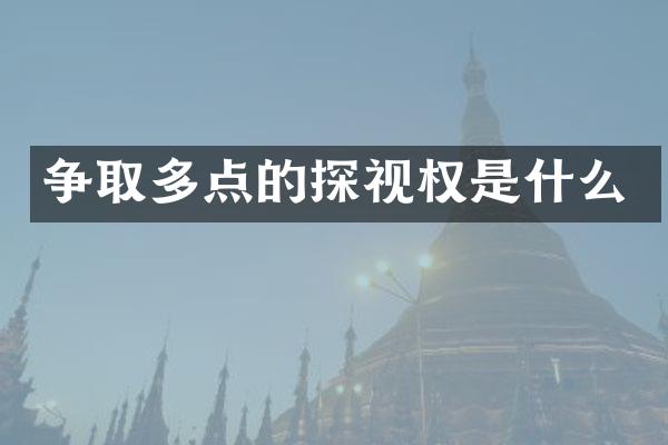 争取多点的探视权是什么
