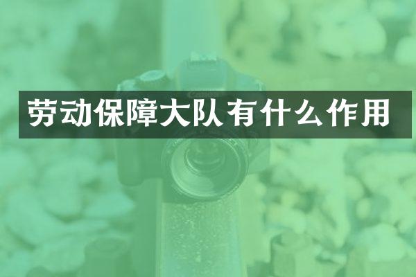 劳动保障大队有什么作用