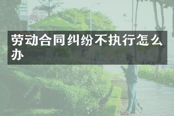 劳动合同纠纷不执行怎么办