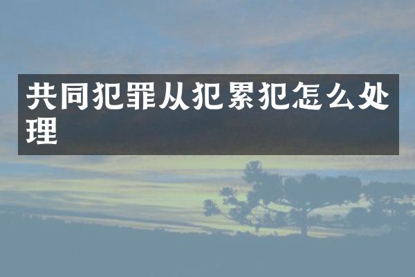 共同犯罪从犯怎么处理