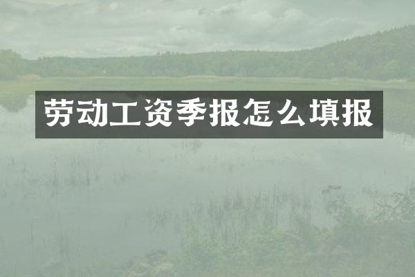 劳动工资季报怎么填报