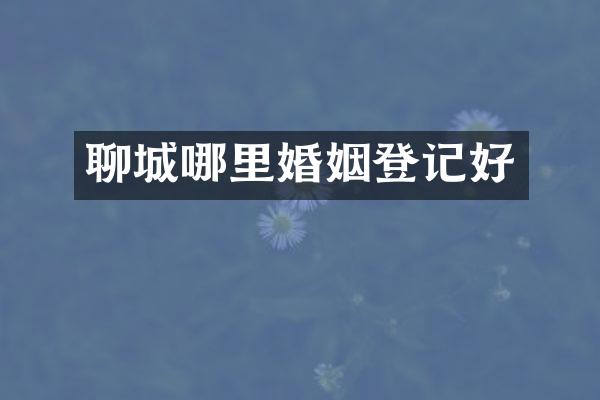 聊城哪里婚姻登记好