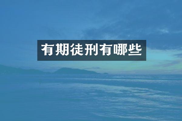 有期徒刑有哪些