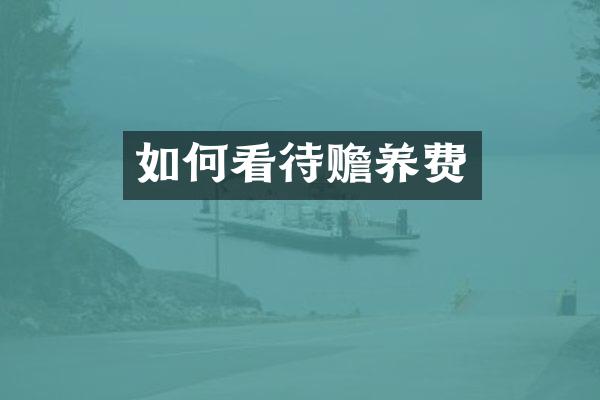 如何看待赡养费