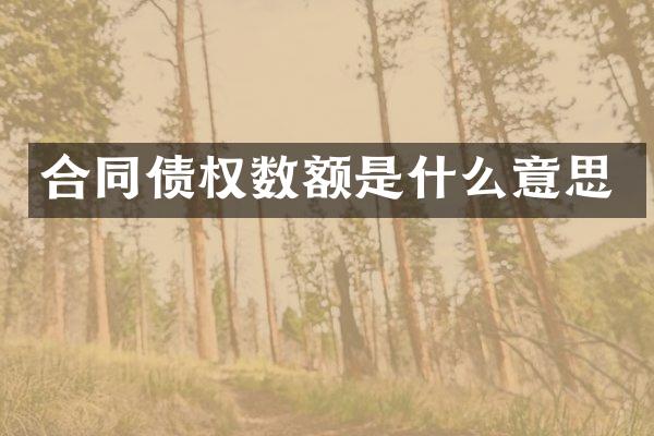 合同债权数额是什么意思
