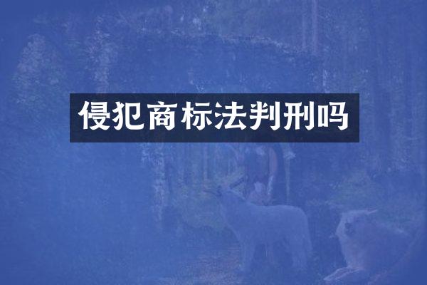 侵犯商标法判刑吗