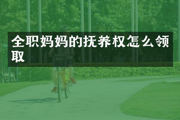 全职妈抚养权怎么领取