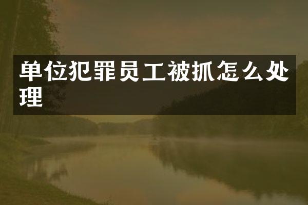 单位犯罪员工被抓怎么处理