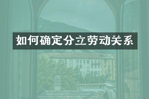 如何确定分立劳动关系