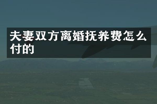 夫妻双方离婚抚养费怎么付的