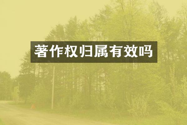 著作权归属有效吗