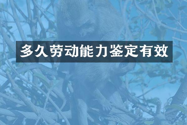 多久劳动能力鉴定有效