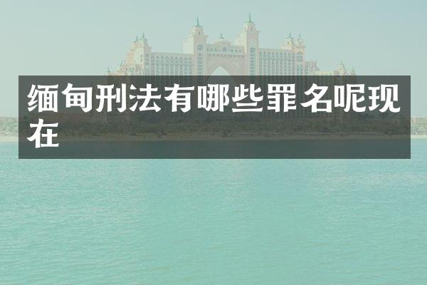 缅甸刑法有哪些罪名呢现在