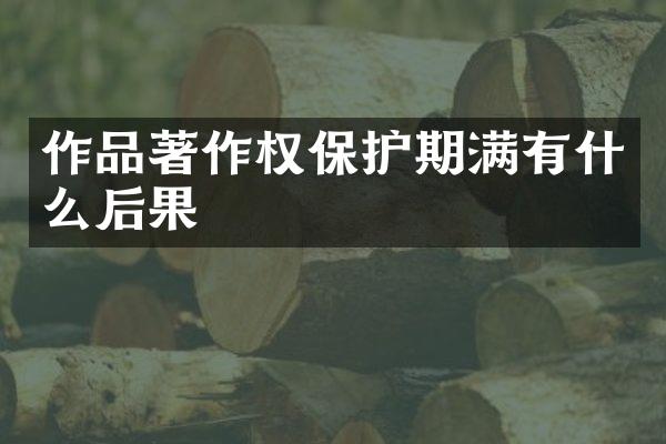 作品著作权保护期满有什么后果