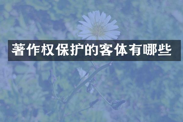 著作权保护的客体有哪些