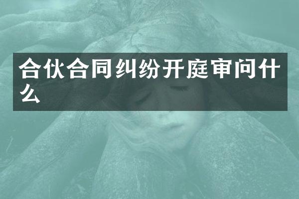 合伙合同纠纷开庭审问什么