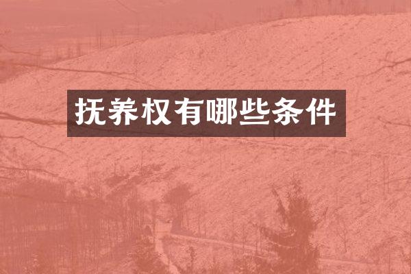 抚养权有哪些条件