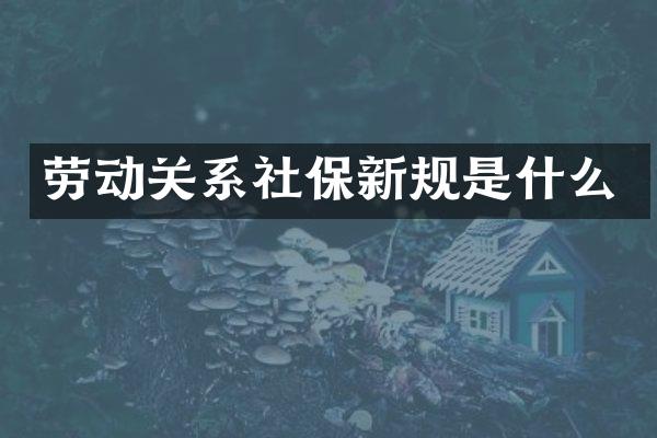 劳动关系社保新规是什么