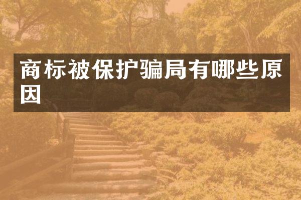 商标被保护骗局有哪些原因