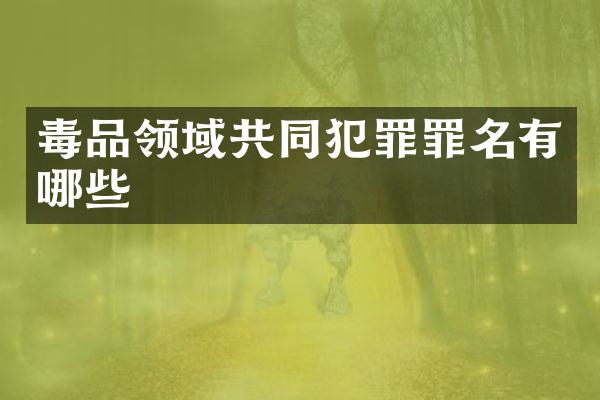 领域共同犯罪罪名有哪些