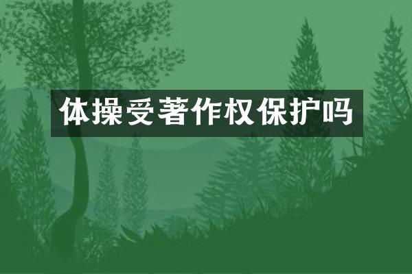 体操受著作权保护吗