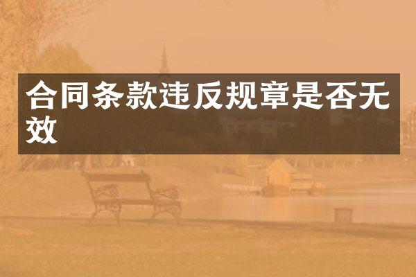 合同条款违反规章是否无效
