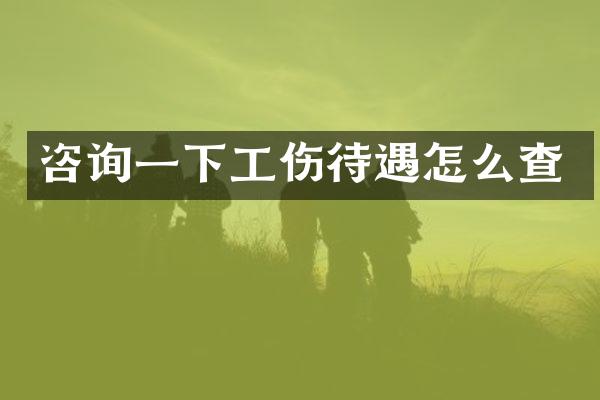 咨询一下工伤待遇怎么查