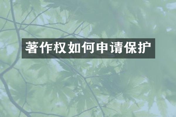 著作权如何申请保护