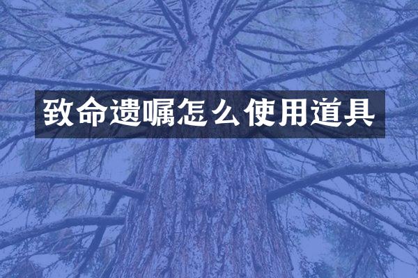 致命遗嘱怎么使用道具