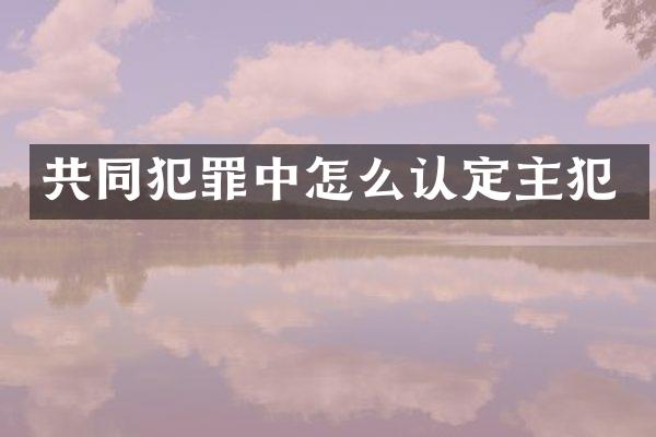 共同犯罪中怎么认定