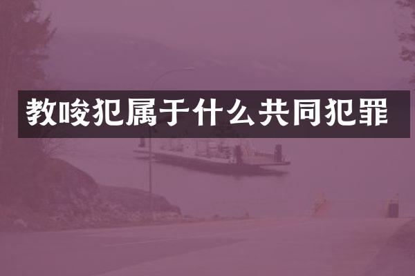 教唆犯属于什么共同犯罪