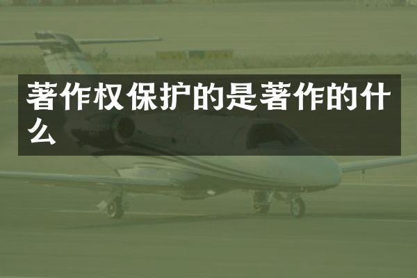 著作权保护的是著作的什么