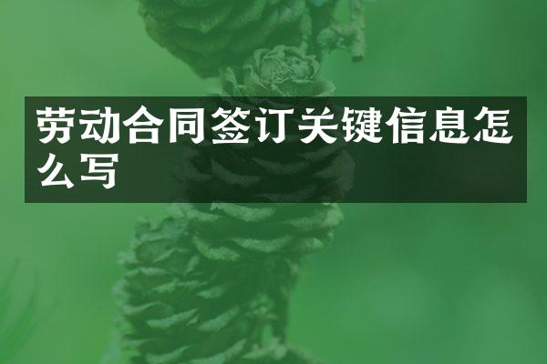 劳动合同签订关键信息怎么写
